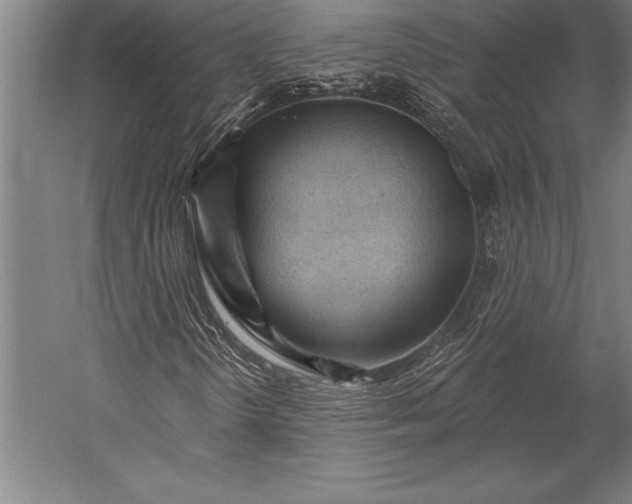X0000053021298200507221329