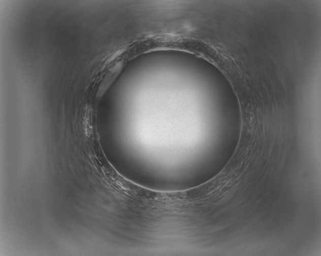 X0000053021301200507221329