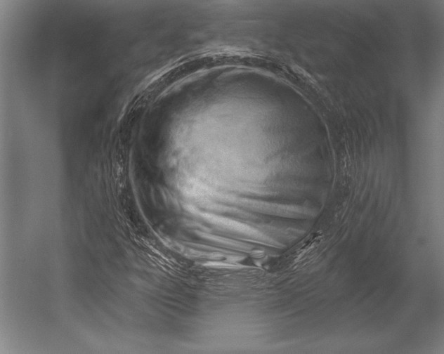 X0000053021303200507221329