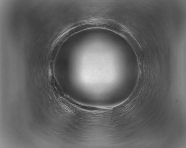 X0000053021304200507221329