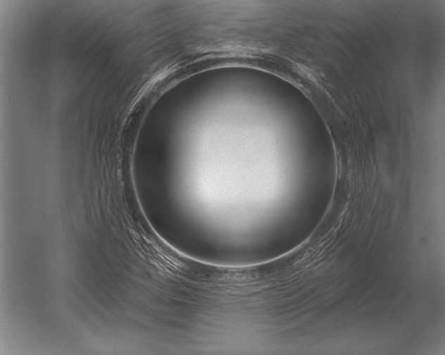 X0000053021307200507221329