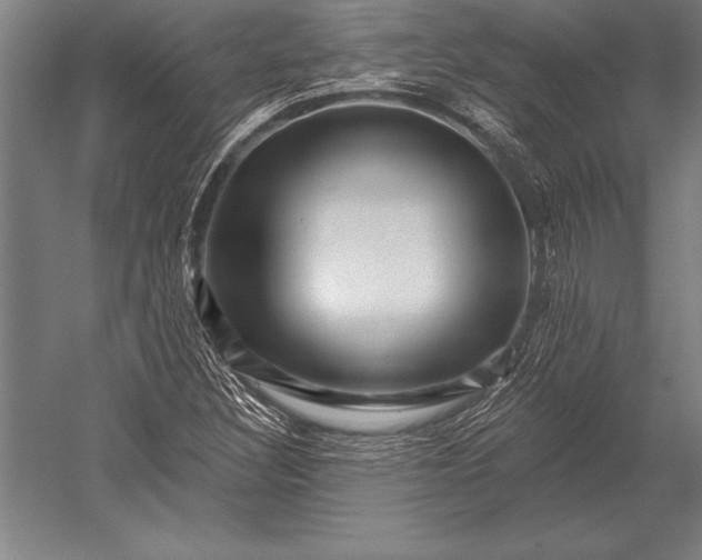 X0000053021308200507221329