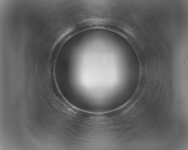 X0000053021309200507221329