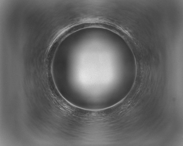X0000053021311200507221329