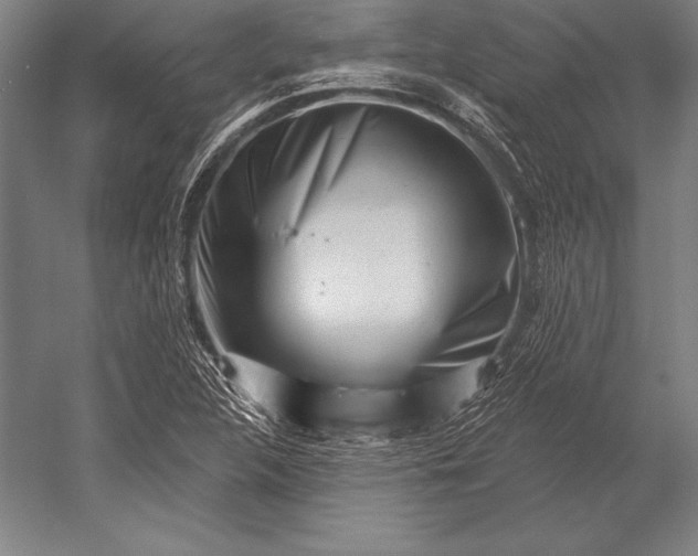 X0000053021312200507221329