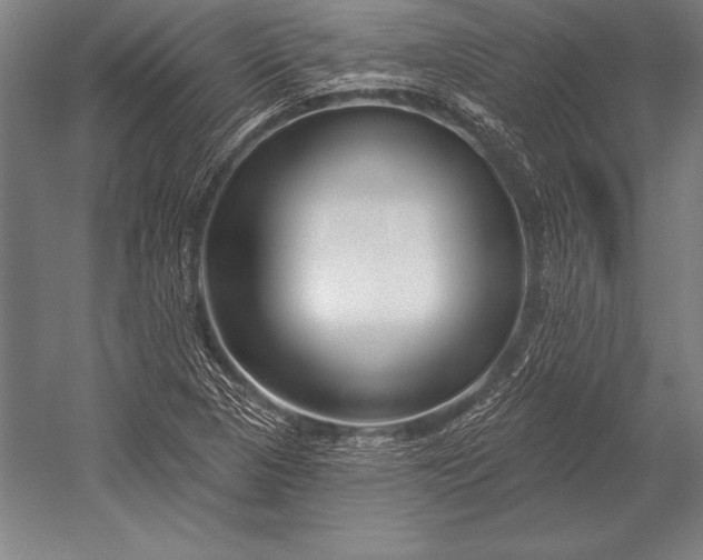 X0000053021313200507221329