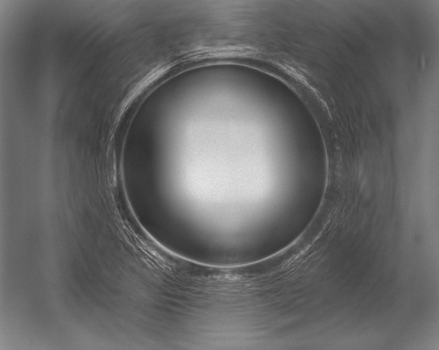 X0000053021317200507221329