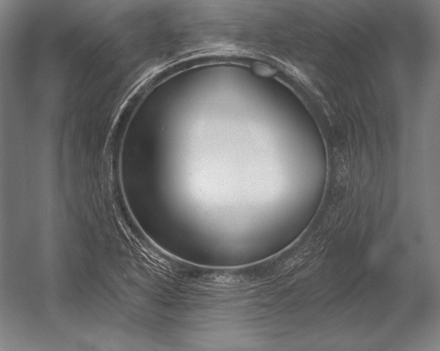 X0000053021318200507221329