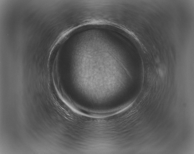 X0000053021319200507221329