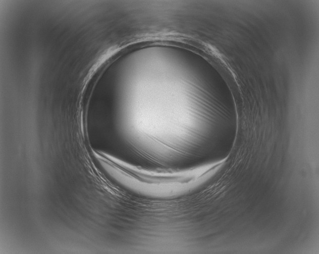 X0000053021320200507221329
