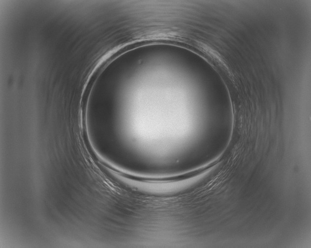 X0000053021324200507221329