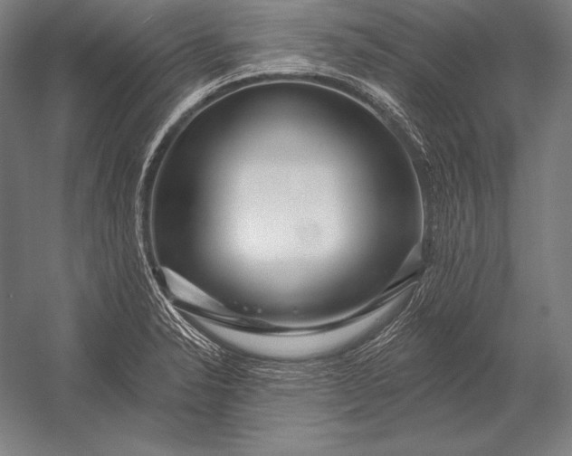 X0000053021326200507221329
