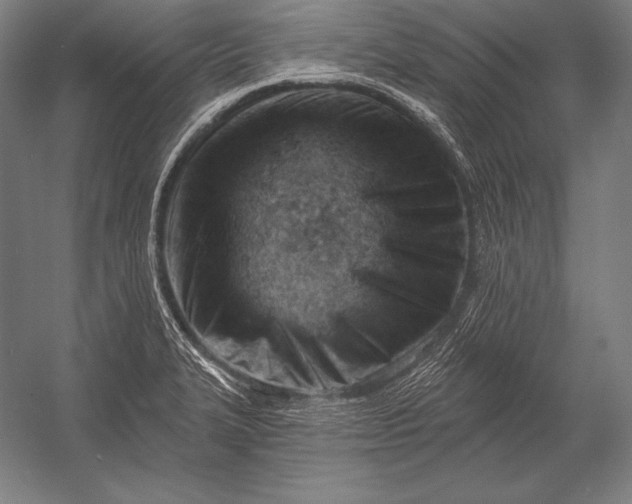 X0000053021327200507221329