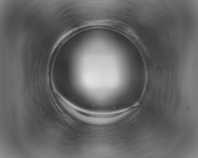 X0000053021328200507221329