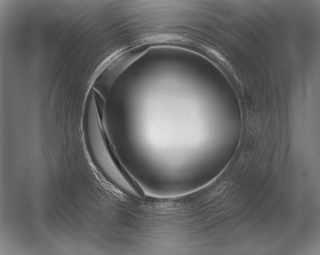 X0000053021330200507221329