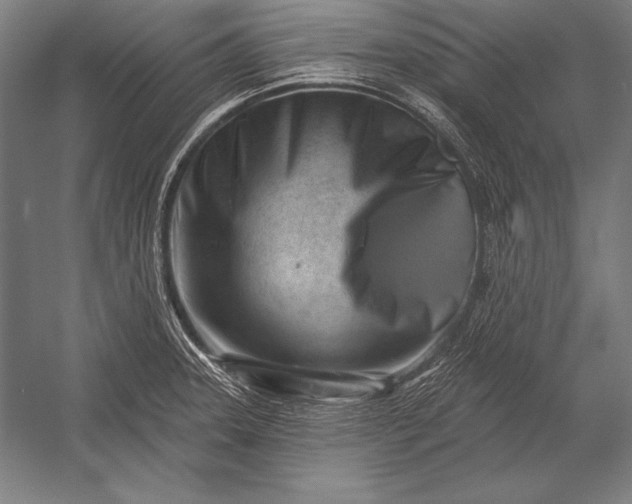 X0000053021331200507221329