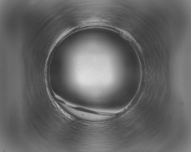 X0000053021333200507221329