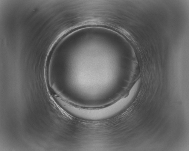 X0000053021334200507221329