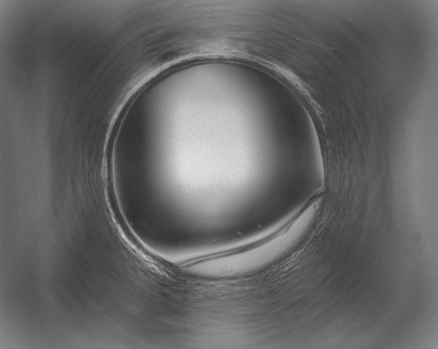 X0000053021335200507221329