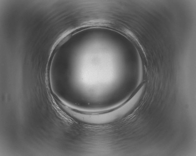 X0000053021336200507221329