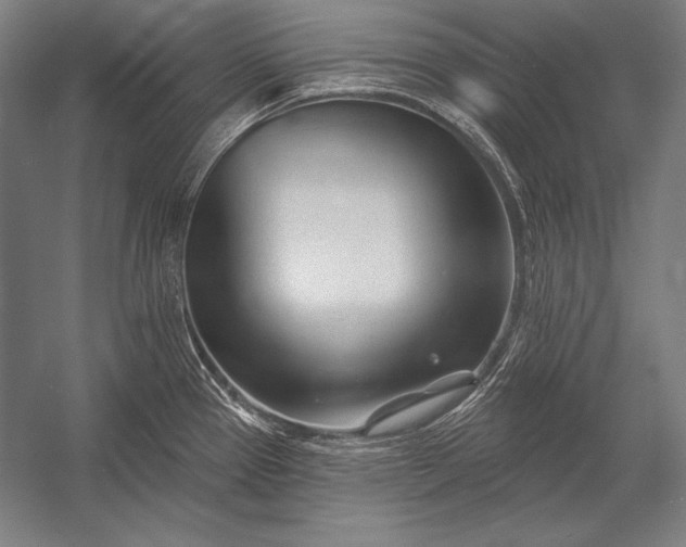 X0000053021337200507221329
