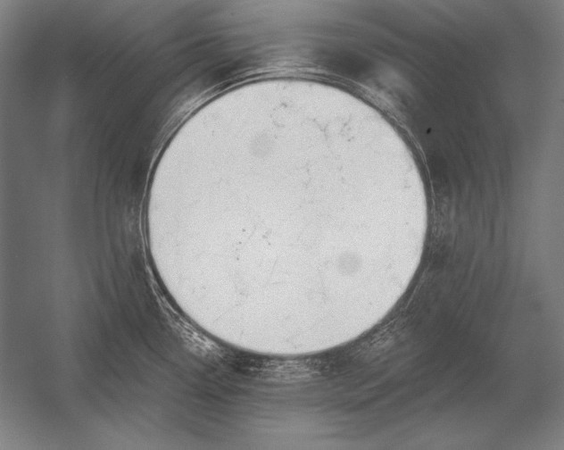 X0000053021338200507221329
