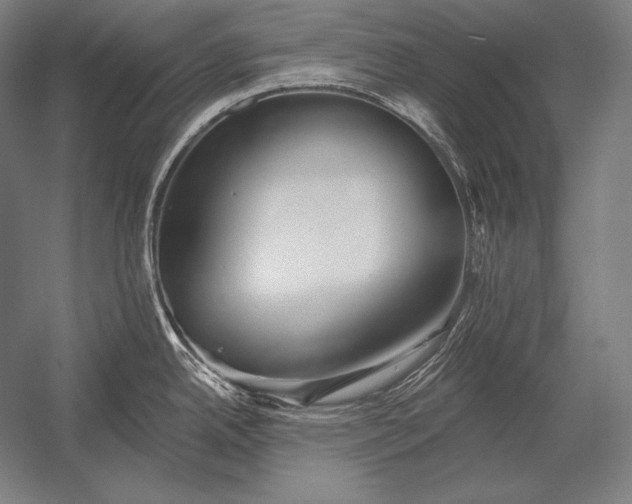 X0000053021342200507221329