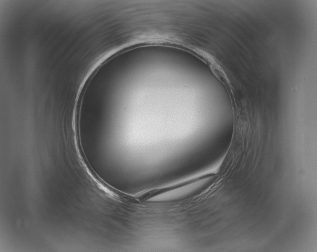 X0000053021343200507221329
