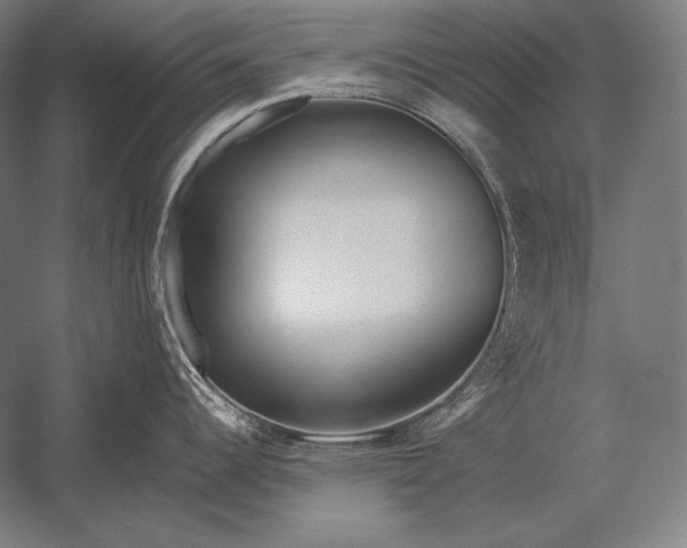X0000053021344200507221329