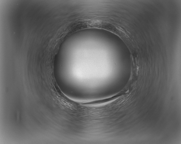 X0000053021345200507221329