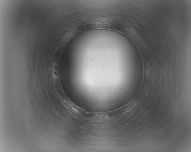 X0000053021346200507221329