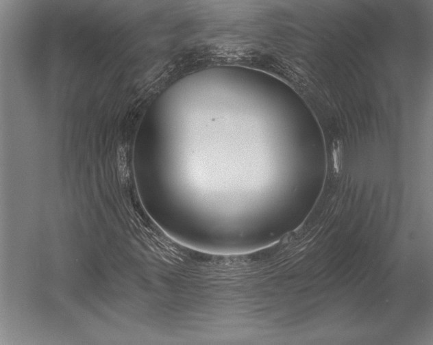 X0000053021347200507221329