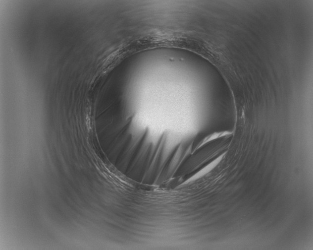 X0000053021348200507221329