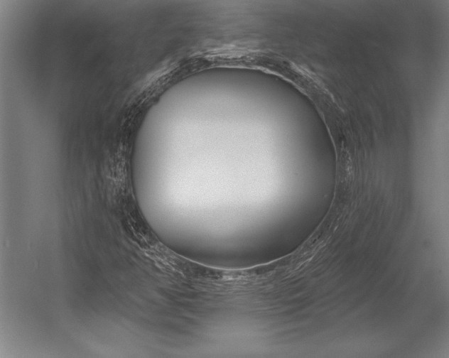 X0000053021350200507221329