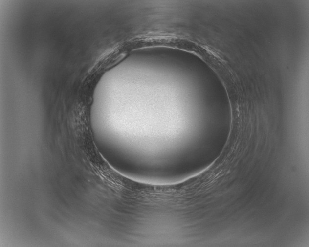 X0000053021351200507221329