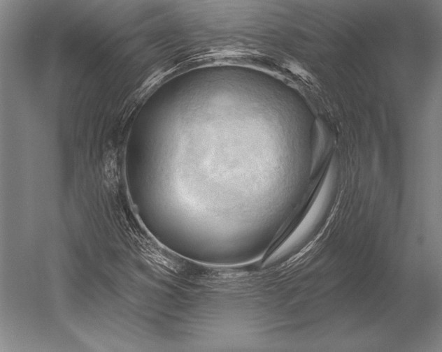 X0000053021353200507221329