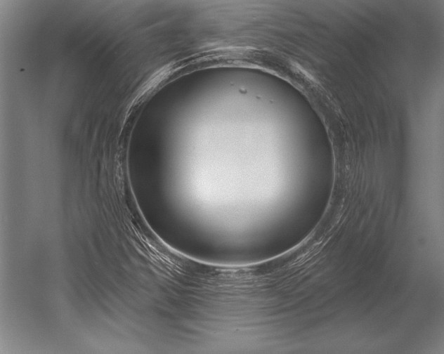 X0000053021354200507221329