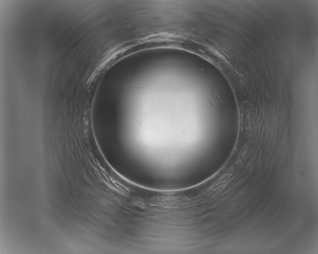 X0000053021355200507221329