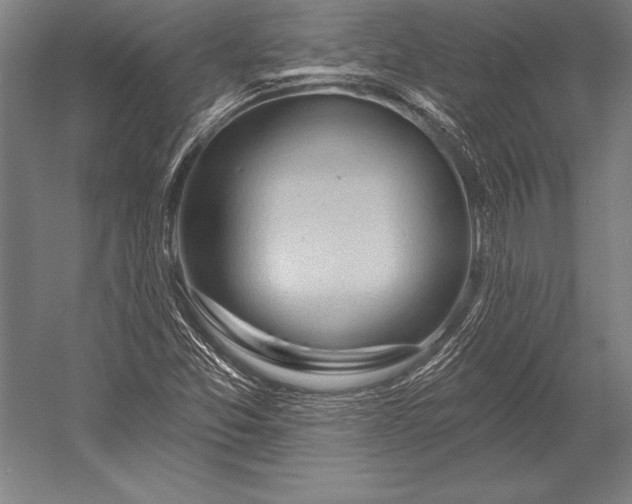 X0000053021357200507221328