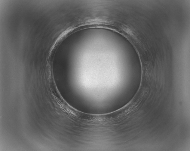 X0000053021358200507221328