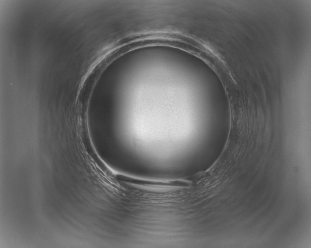 X0000053021360200507221328