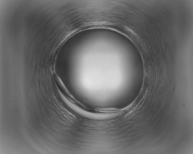 X0000053021361200507221328