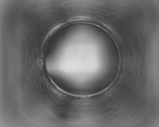 X0000053021363200507221328