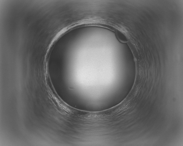 X0000053021366200507221328