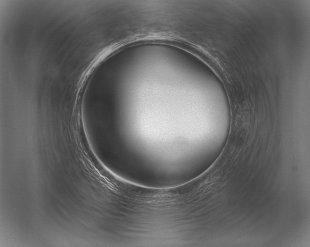 X0000053021367200507221328
