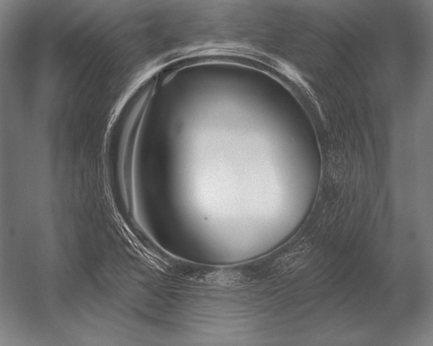 X0000053021368200507221328