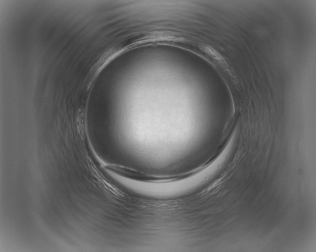 X0000053021369200507221328