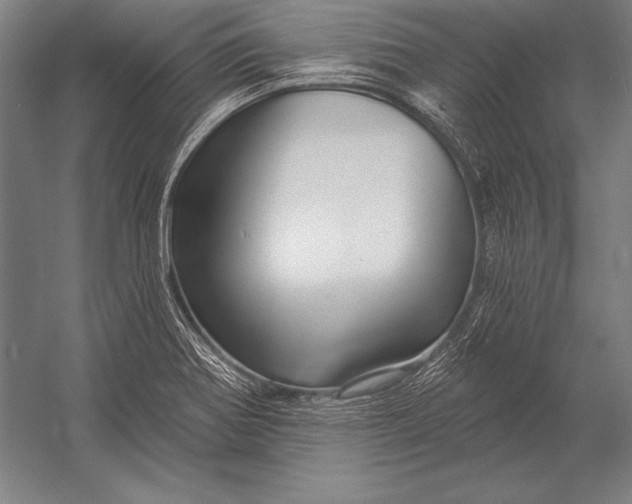 X0000053021370200507221328