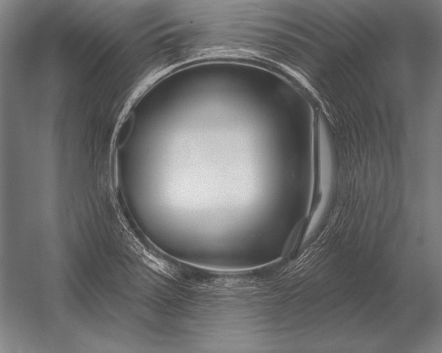 X0000053021371200507221328