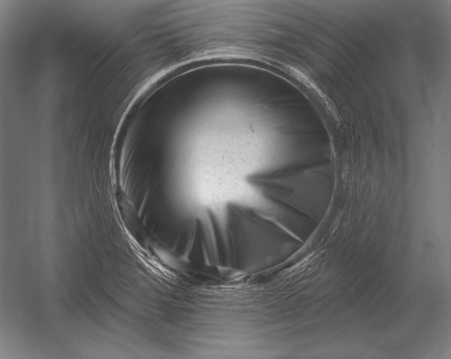 X0000053021372200507221328